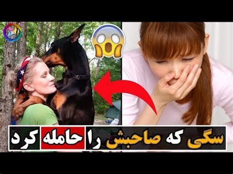 سکس باسگ|سکس سگ با حیوان زن زیبا و سگ لعنتی